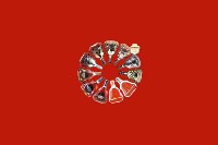 南部回收红酒
